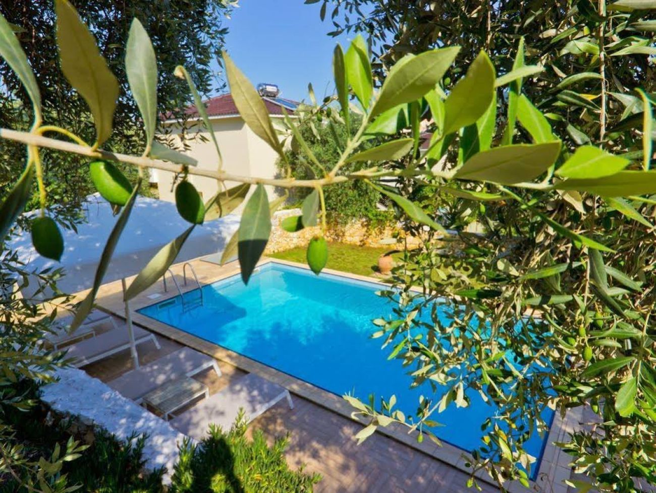 Thassian Villas 4*