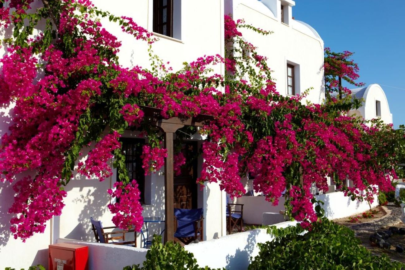 Anna Traditional Apartments Santorini 3*