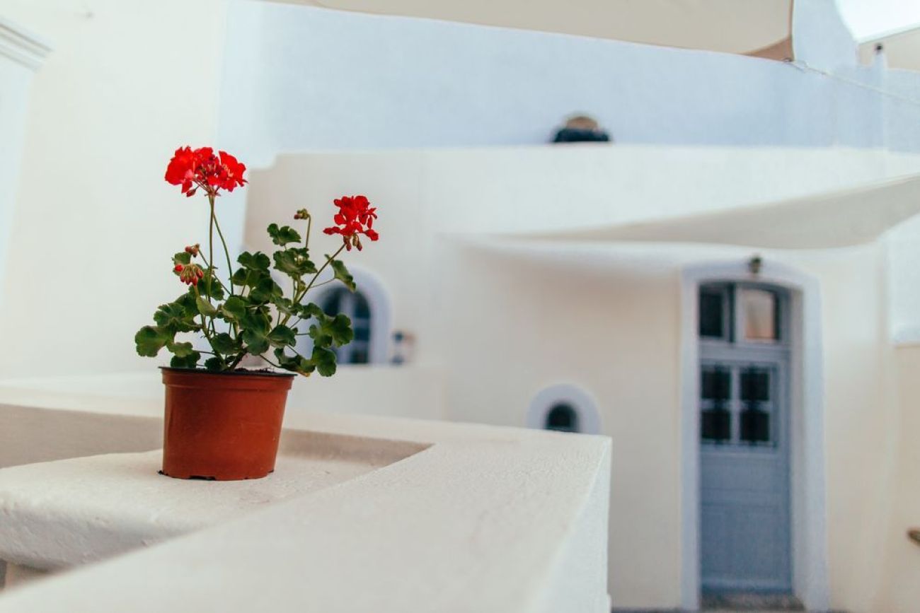 Day One Fira Mansion