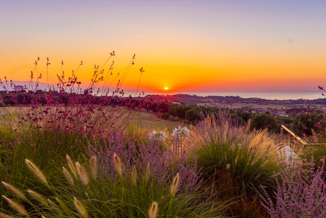 Mint Retreat Suites Halkidiki