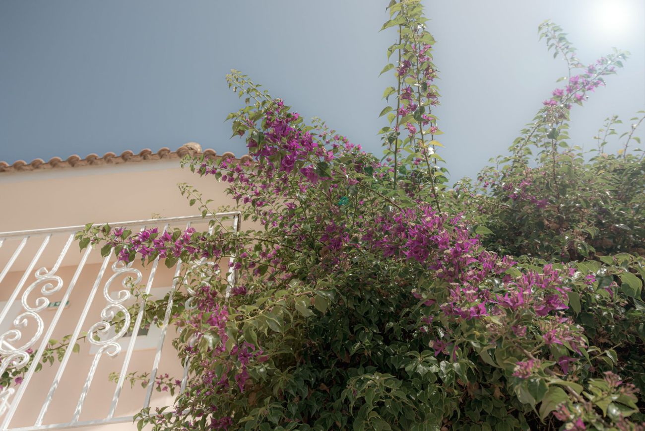 Zefyros Eco Hotel 3*