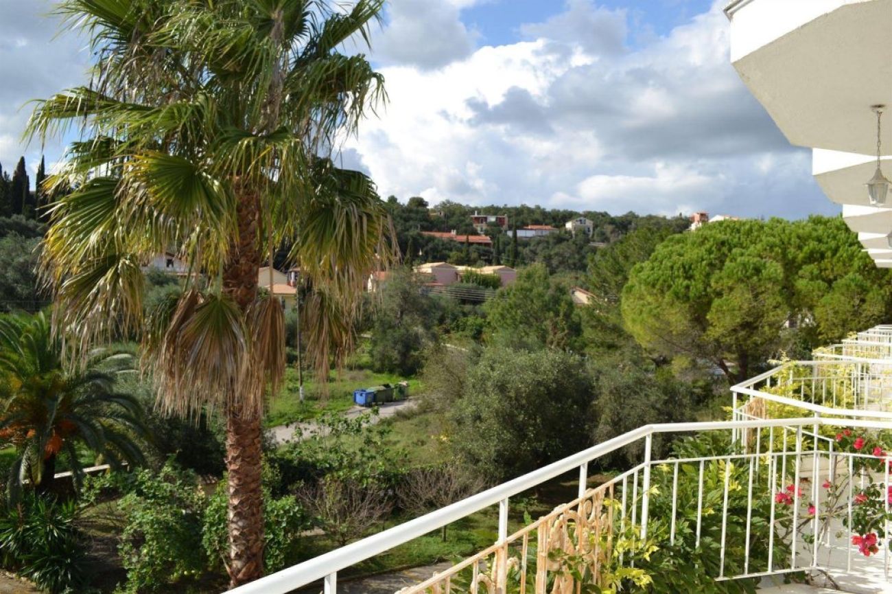 Paloma Blanca Dassia 3*
