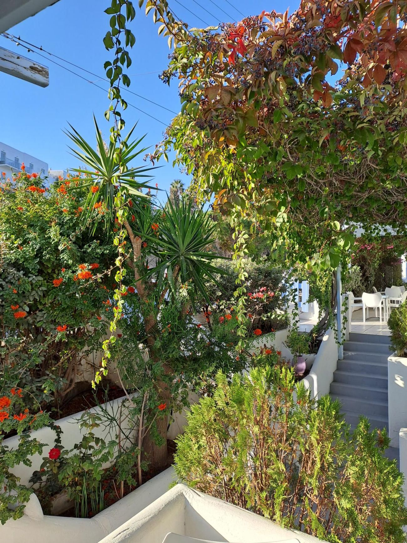 Stratos Apartments & Studios