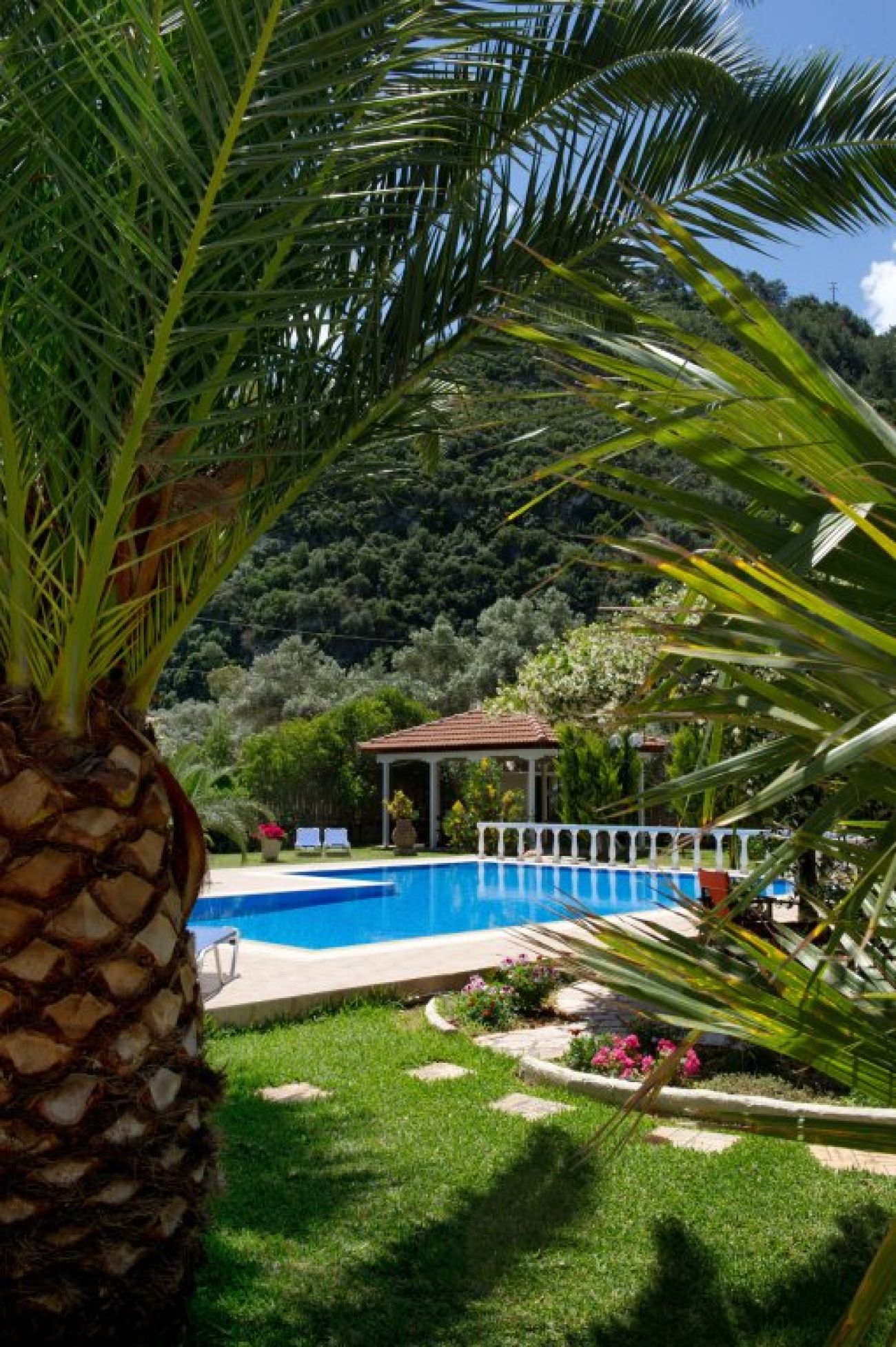 Villa Dimitris Apartments & Studios