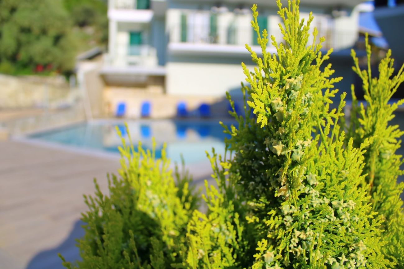 Vergina Star Lefkada 3*