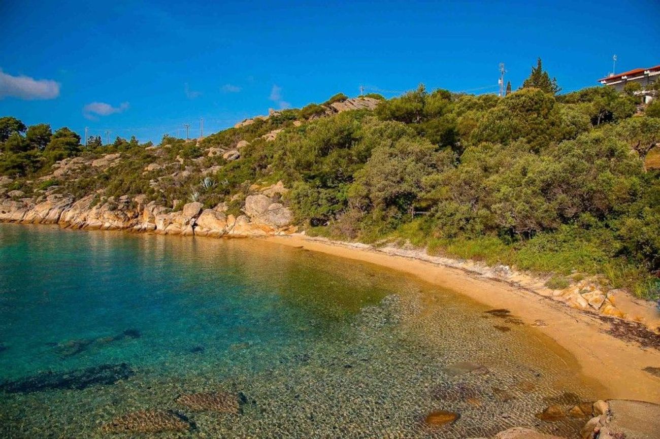 Thalassokipos 1*