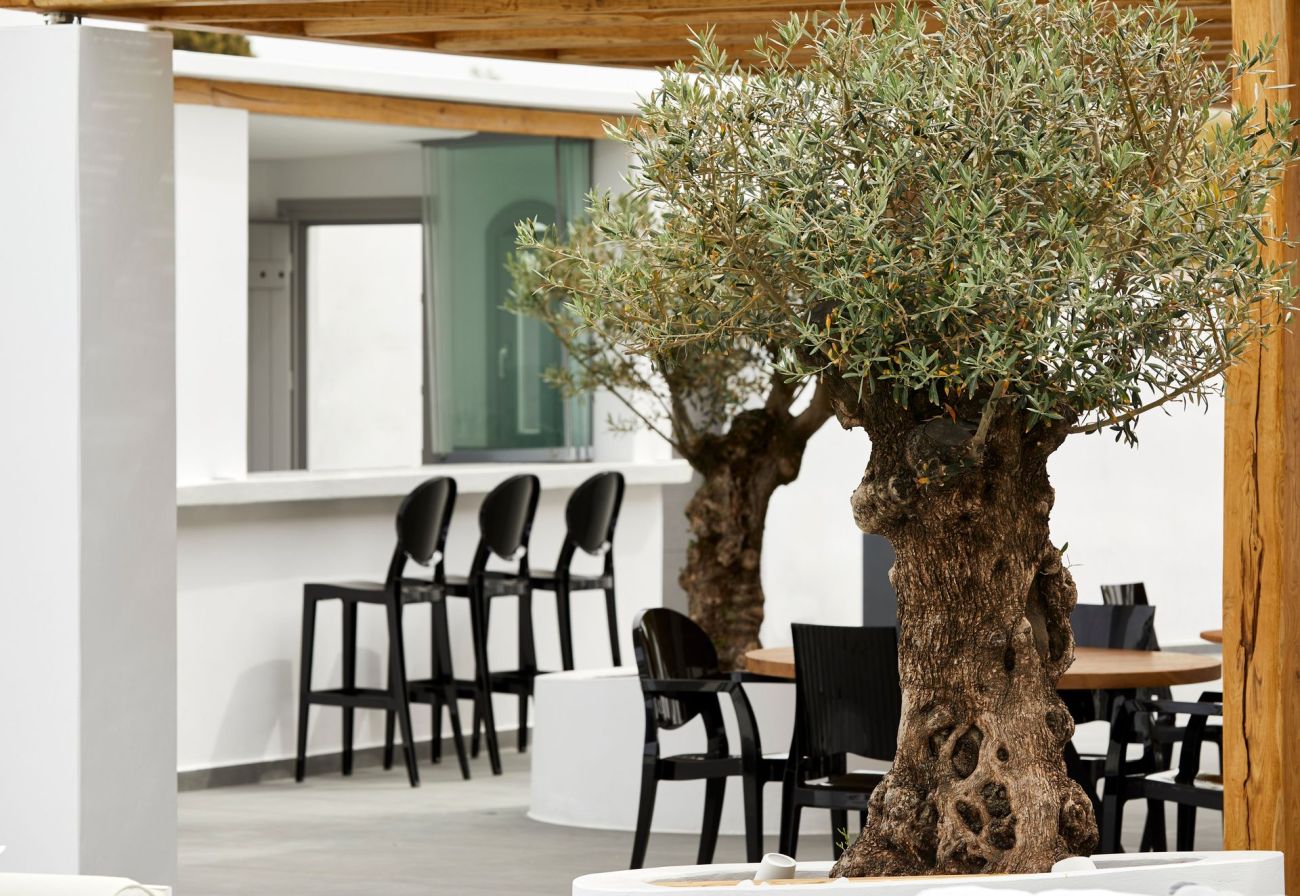 Kalisti Hotel & Suites 4*