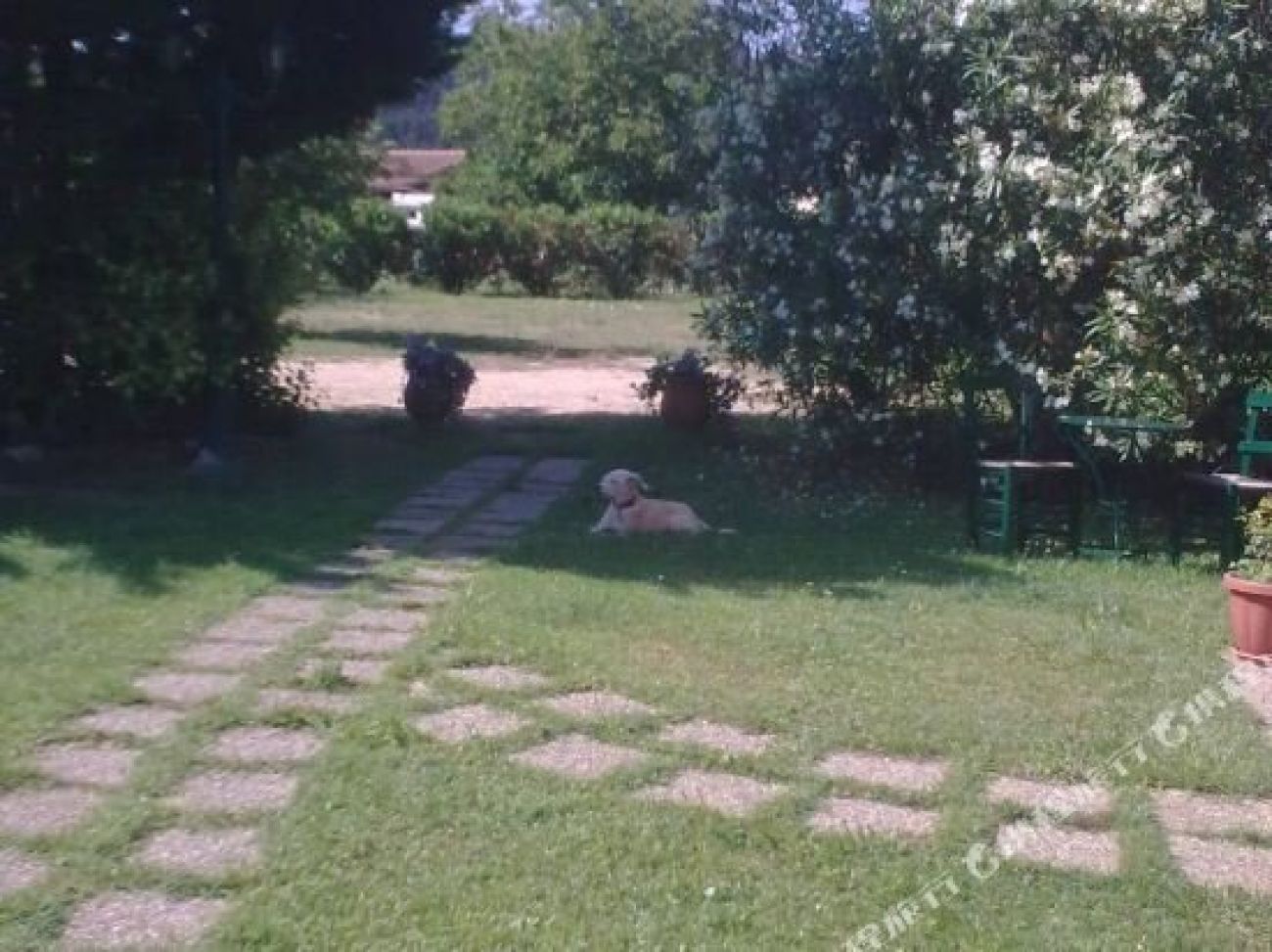 Villa de Loulia 4*