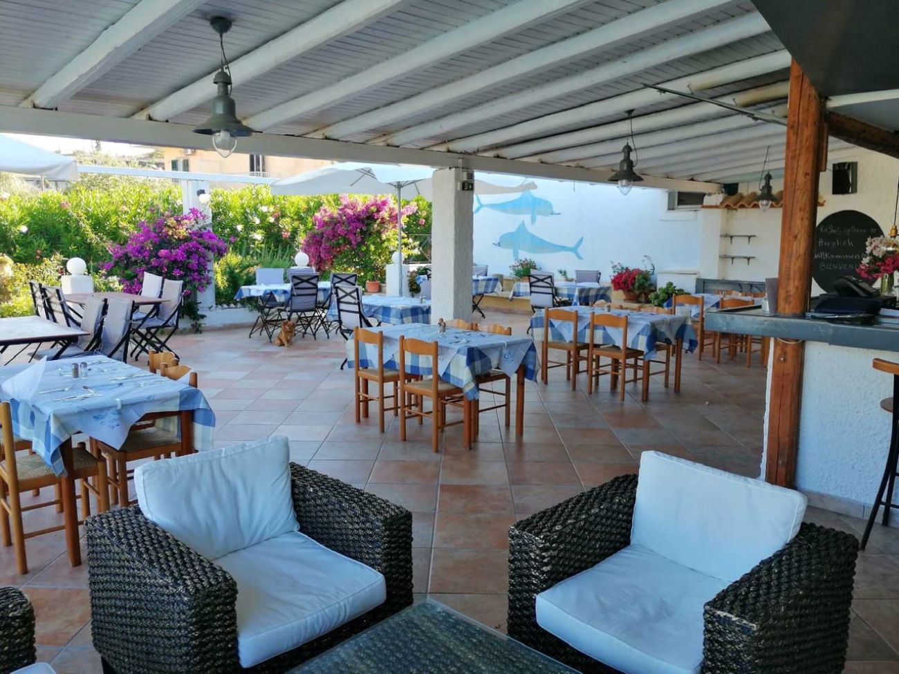 Serena Hotel 3*