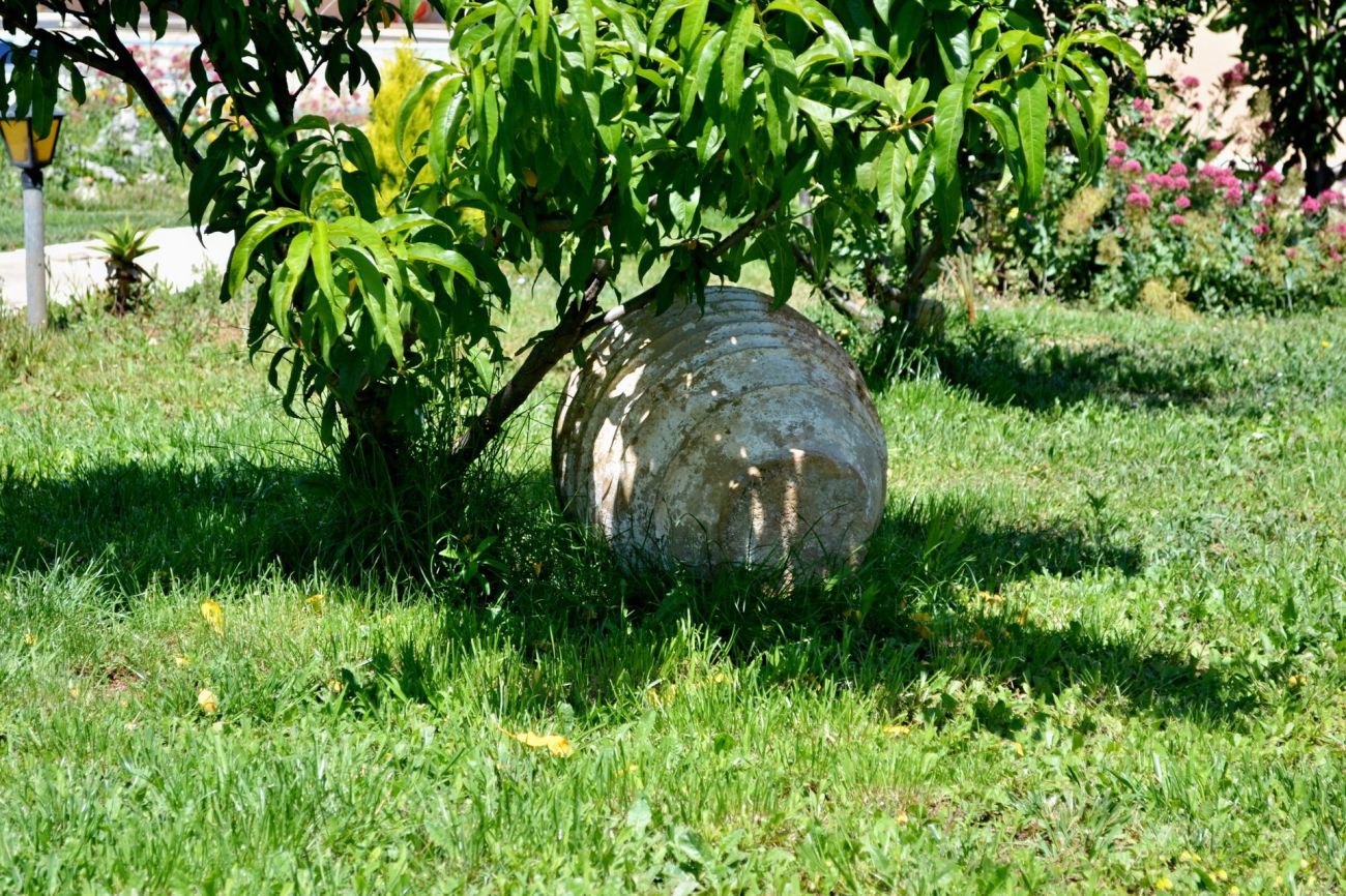 Vergina Star Lefkada 3*