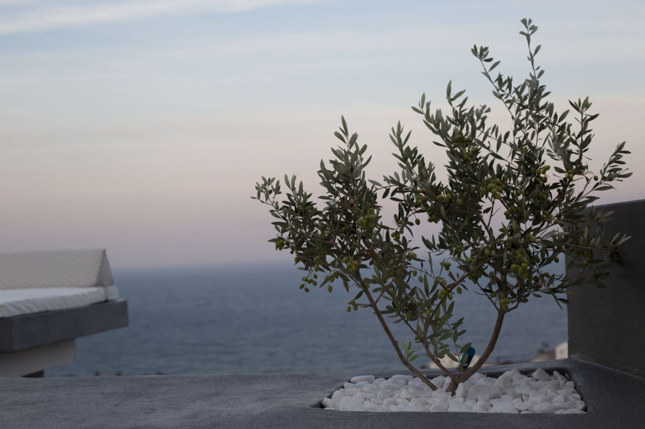 Horizon Mills Villas and Suites Santorini 5*