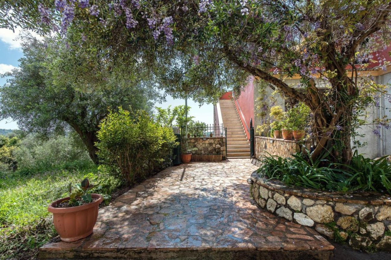 LILY'S HOUSE