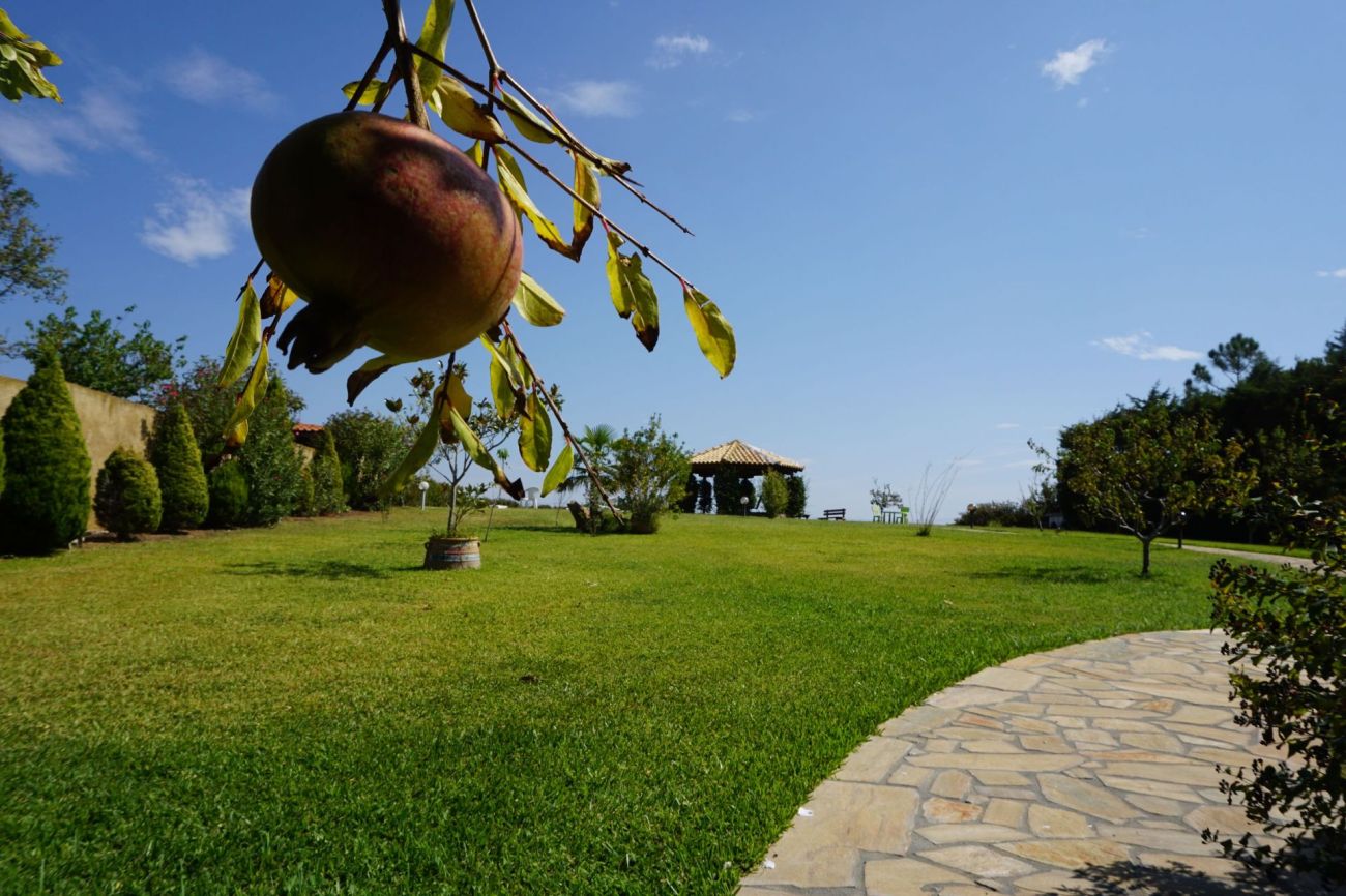 Villa Orama Chalkidiki