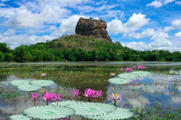 BIG 2327642415 Sigiriya