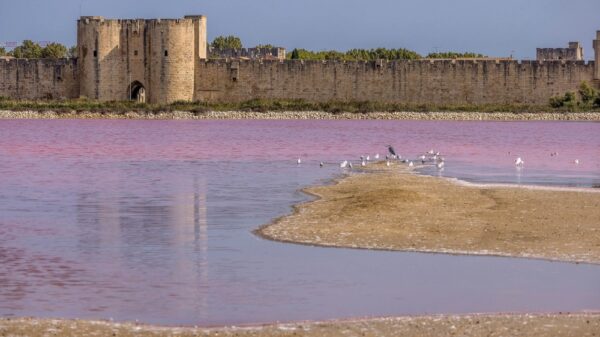 BIG 2516293361 Aigues Mortes
